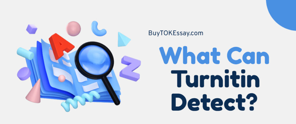 What Can Turnitin Detect