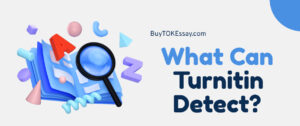 What Can Turnitin Detect